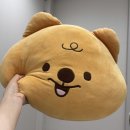 더올의원 | 온다리프팅 6만줄 VS 8만줄 명동 올의원 후기