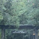 [Mt. Rainier] 워싱턴 국립공원 마운틴 레이니어 가을에 다녀온 후기 🍂 파라다이스 트레일, 미를 폭포...