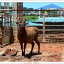 대성건강원 이미지