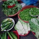 신흥여인숙 이미지