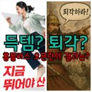 홈플러스 | 홈플러스 오픈런 위스키 구매 후기!