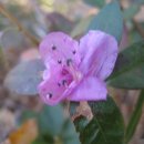 경화여인숙 이미지