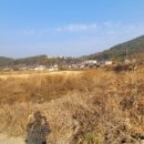 마산교차로 이미지