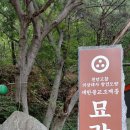 묘각사 - 1756 | 묘각사