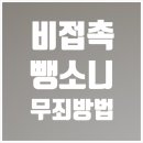 교통박사 행정사 이미지