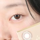 데일리브라운 네이버블로그