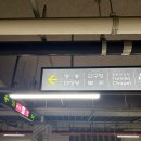 명동김밥 | 명동 맛집 명동충무김밥 솔직후기 주차팁까지 완벽 정리