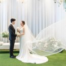 다르미앙 이미지