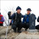 정상(대구)