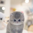 까꽁헤어