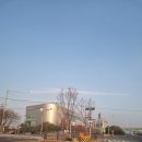 김해보건소(1051) | [유니주니정보]부산강서구보건소 코로나검사후기(일요일검사가능)