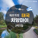 주식회사 나비트래블