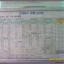 대초진료소 Daum카페