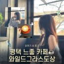 와일드그라스도상
