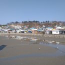 법성포 숲쟁이공원 이미지