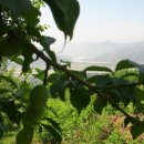 혁이네농장 이미지