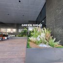 감당2 태양광발전소 이미지