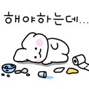 아마르스킨
