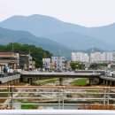 무진체육관 Daum카페