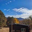 유영농장 이미지