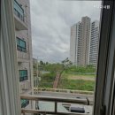 샤넬고시원