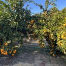 소남농장 이미지