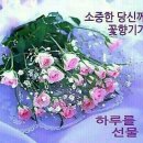 탑들