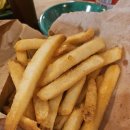 디지스도그 이미지