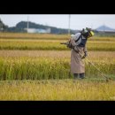 [스님의 하루]“유학을 보냈더니 아이가 공부를 그만두겠다고 합니다.” 이미지