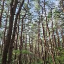 백운암 | 영축산 산행기(지산마을-靈鷲山-백운암-통도사)