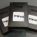 PING X DSG ACADEMY 피팅 이벤트 후기｜전문 피터와 함께한 특별한 하루