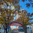 래미안마트 | 강동래미안팰리스 강동밀레니얼중흥S클래스 (천호로데오거리) 방문 후기