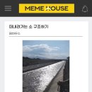 소 사 이미지