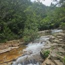 제101차 제천(충주) 북바위산 (772m) 보신산행 알림 이미지