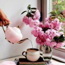 이가분실 이미지