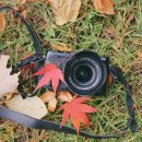 E3(이쓰리) 이미지