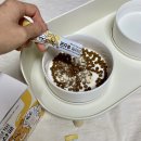 (주)코아펫 | 강아지 유산균 추천 | 리브펫 유산균 내돈내산 후기 | 강아지 유산균 급여 이유