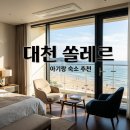 대천레스토랑 | 대천호텔쏠레르 내돈내산 후기! 아기랑 가기 좋은 숙소 조식 팁
