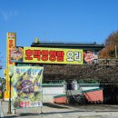 뉴오리강 네이버블로그