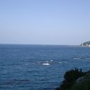 바다축산 이미지