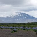 아름다운 아이슬랜드 ( photo by Bluegull ) 이미지
