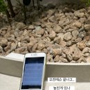 이엘피아노교습소 - 포항시 북구 초곡지구로127번길 5-6 | 이엘피아노교습소