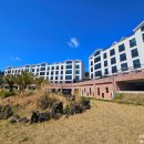 서호동-58 이미지