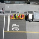 개in택시 이미지