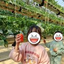 옥정농장 이미지