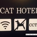 코코보노 고양이호텔 이미지