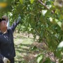 김성규농장 이미지