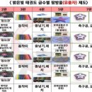 밝은빛 태권도 이미지