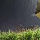 (주)자연애마트 - 대덕구 | (주)자연애마트