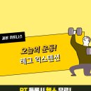 셀린 피트니스 이미지